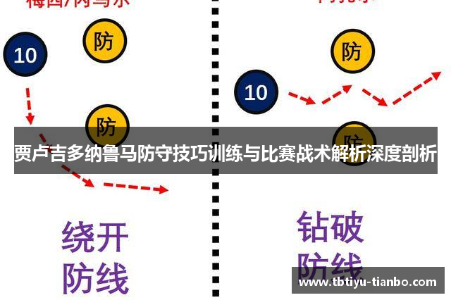 贾卢吉多纳鲁马防守技巧训练与比赛战术解析深度剖析