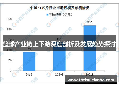 篮球产业链上下游深度剖析及发展趋势探讨