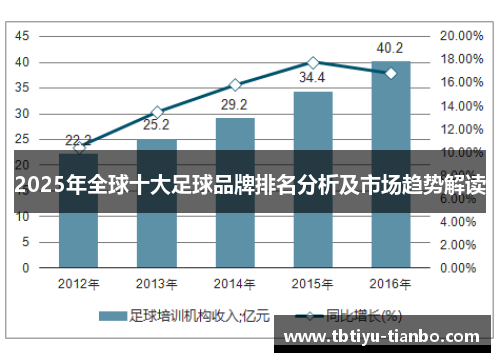 2025年全球十大足球品牌排名分析及市场趋势解读