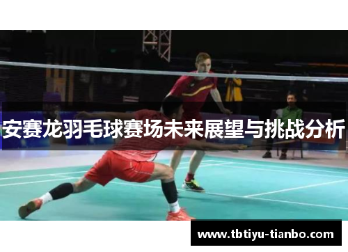 安赛龙羽毛球赛场未来展望与挑战分析