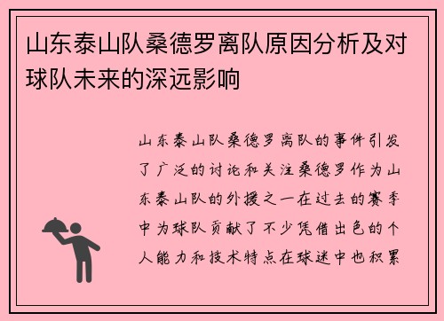 山东泰山队桑德罗离队原因分析及对球队未来的深远影响
